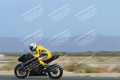 media/Apr-10-2022-SoCal Trackdays (Sun) [[f104b12566]]/Speed Shots Back Straight (930am)/